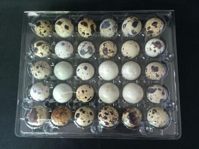 embalaje para перепелиных huevos
