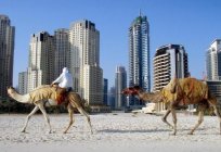 Die Bevölkerung Der Vereinigten Arabischen Emirate. Welche Völker bewohnen Emirate