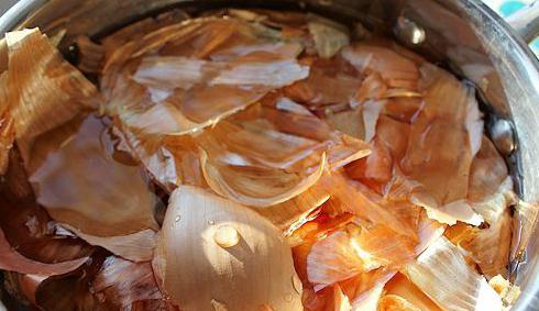 a decoction of onion peel for hair