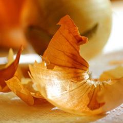 onion peel for hair coloring