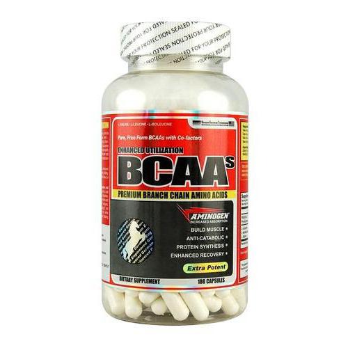BCAAs effect on the body