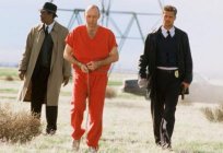 The best thrillers about serial killers: a list, description and reviews