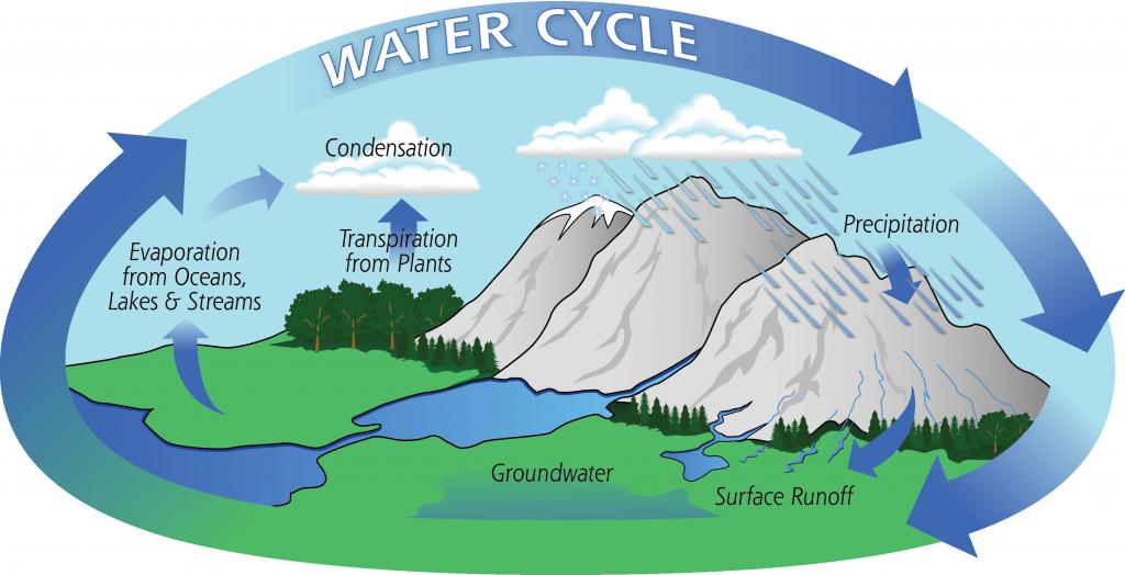 der Wasserkreislauf in der Natur