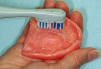 粘合剂，用于的假牙：类型和特征的使用