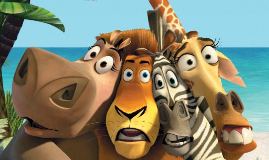 what is the name of the Zebra from Madagascar