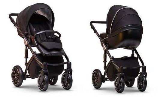 anex sport stroller 3 in 1 review of the stroller