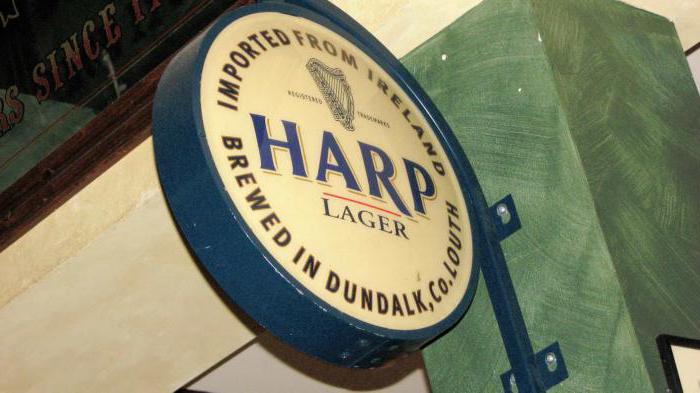 harp beer reviews