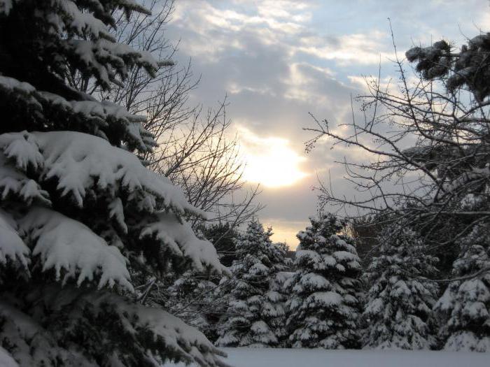 imagen final del invierno mediodía la composición