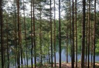 Lago da região de Leningrado dar umas férias inesquecíveis