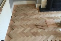 Exterior do piso de madeira. O que é o piso de madeira? Tipos de produção e styling de piso de madeira