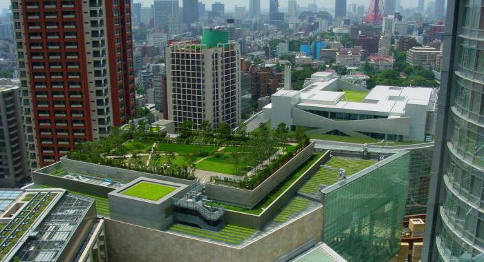 green roof photo