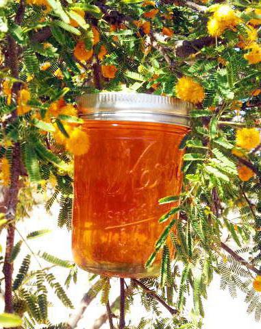 Honig-rasnotrawje nützliche Eigenschaften
