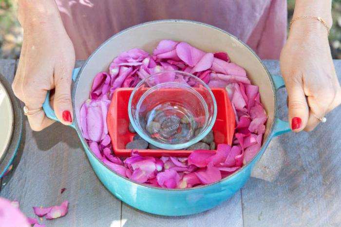 How to make a pink rose at home