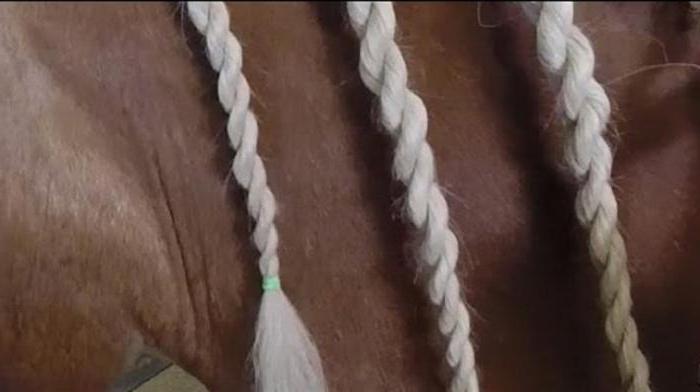 how to make a beautiful braid on the side