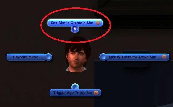 the Sims3コードスキル
