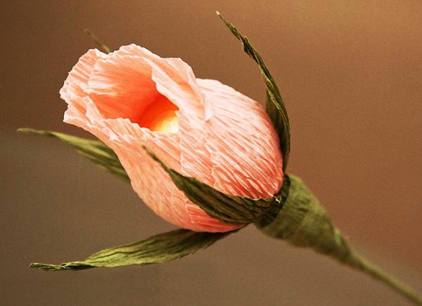 花のブーケのバラの花から紙おしぼりルピナス丸型-平型6