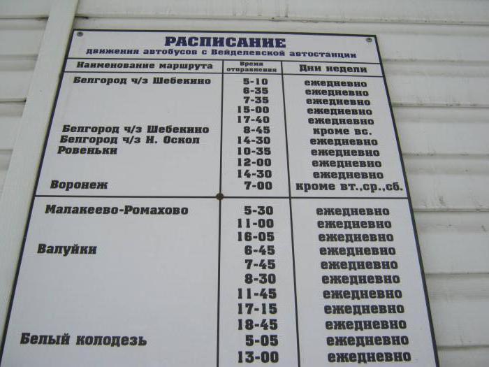 Belgorod pilgrimage center schedule trips
