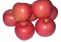 Elma ağacı «fuji». Gibi görünüyor elma ağacı «fuji»: tanım çeşitleri