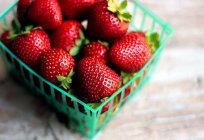 Erdbeer-Regal: die Beschreibung der Sorte und Anbau
