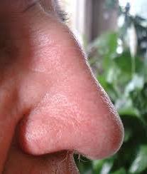 kształtu nosa