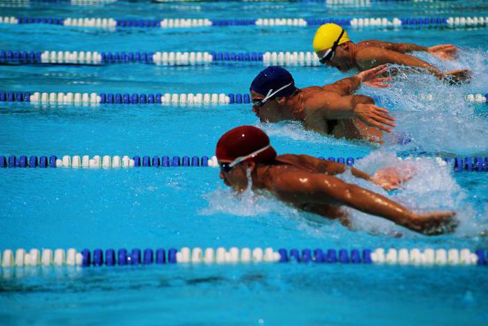 Federal standards of sports training in swimming
