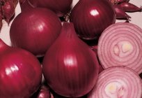 Onion sets: photos, best varieties, description