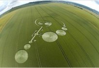 Misteriosos círculos en los campos - que es esto?