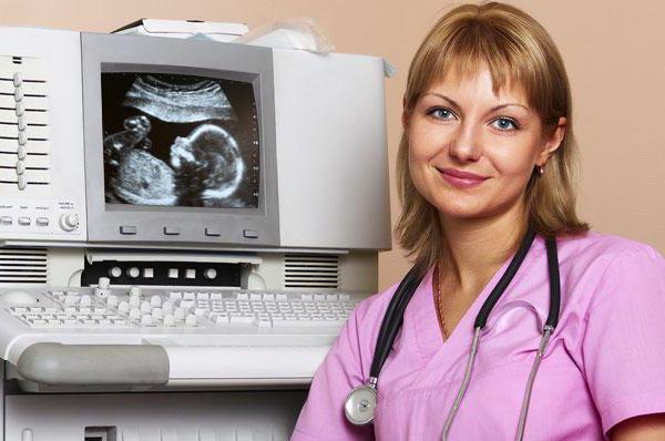 el Médico de diagnóstico por ultrasonido