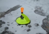 Fishing with imitation fish in the winter: equipment, tools and secrets ice fishing