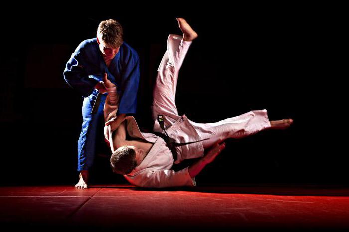 lo que es diferente de sambo de judo