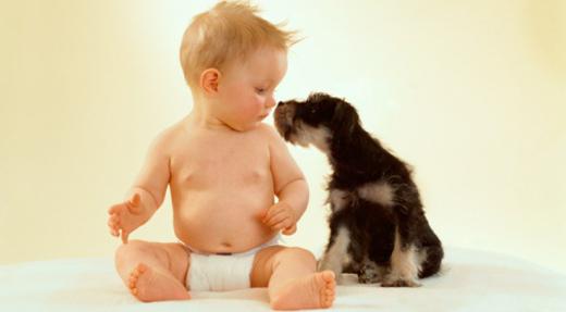 how the Allergy manifests in dogs in infants