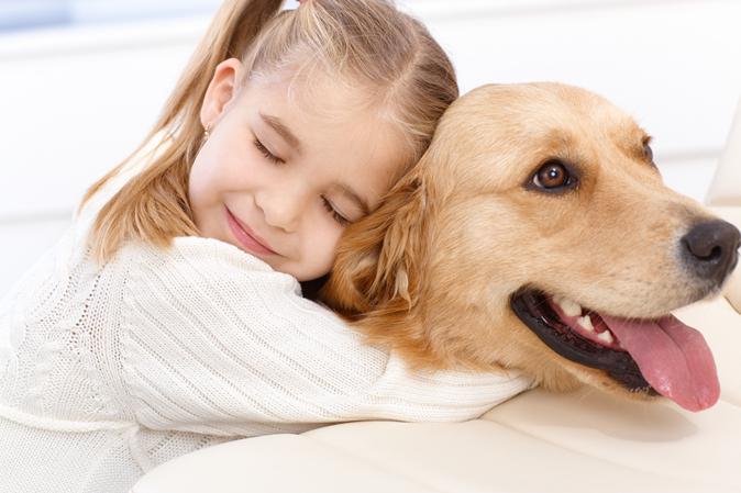 how the Allergy manifests in dogs in children