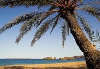Crete island में: सबसे अच्छा समुद्र तटों और रिसॉर्ट्स