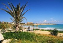 قبرص في كانون الثاني / يناير. سواء للذهاب لقضاء عطلة على جزيرة في الشتاء
