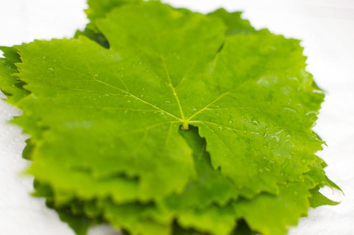 виноградне листя калорійність користь і шкода