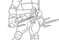 How to draw a ninja turtle in stages?