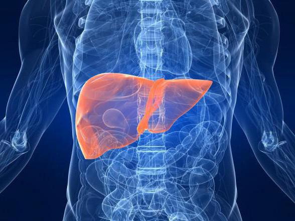 how to clean liver from toxins