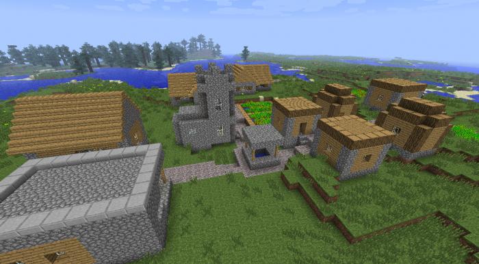 एक गांव में minecraft