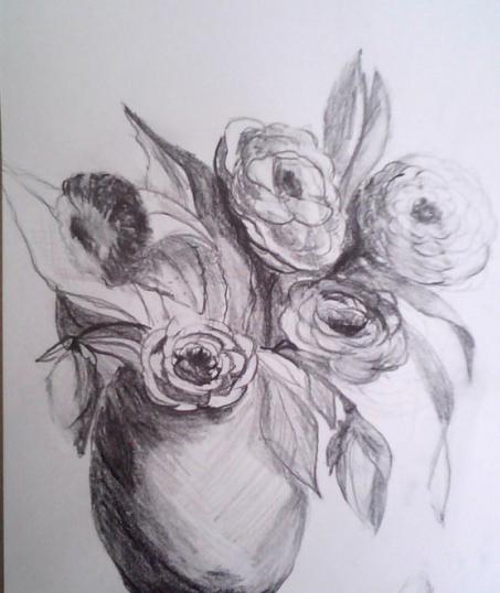 still life with pencil for beginners