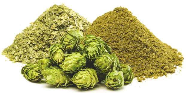 medicinal properties of hops