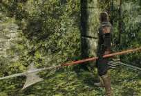 Halberd – that is, the history, the appearance of weapons in games