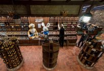 Abrau-Durso: onde está, história local e uma visita guiada à fábrica de champanhe