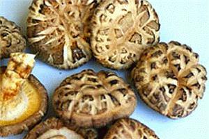 чорні китайські гриби
