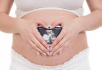 Донорська яйцеклітина і вагітність