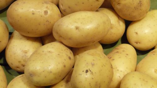 Kartoffeln Rosana