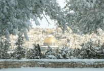 El viaje en enero a israel: tiempo, recursos, consejos de viajes