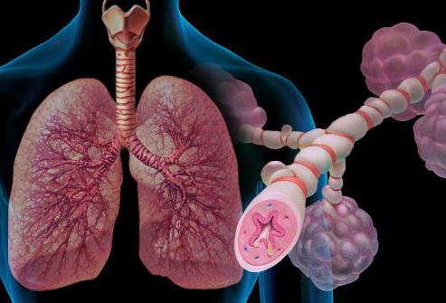 Pathogenese von Asthma bronchiale kurz
