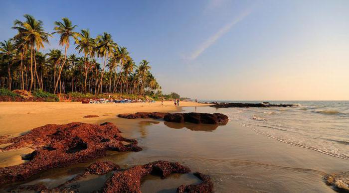the North Goa attractions and surroundings