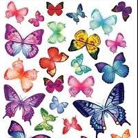 живі метелики