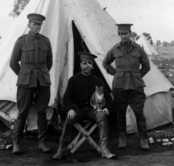 невідомі факти першої світової війни